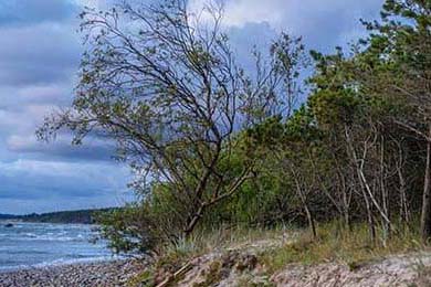 国家队战绩与训练强度关联，国家队训练强度有多大