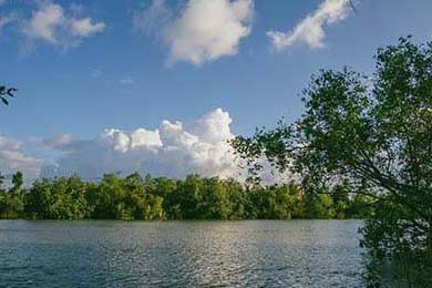 国家队战绩与训练强度关联，国家队训练强度有多大