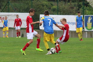 开云·体育官网-国足比赛期间战术板应用时机整理，足球战术板软件下载